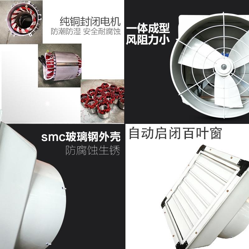 玻钢风机650型小型式壁挂负压风机排璃工风MQ换气扇轴流离心业风