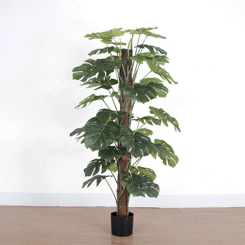 包杆客厅大棕盆栽带盆仿龟001背真竹热带雨林风格大叶植物仿龟真