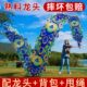 舞龙彩带健身广场舞健身龙中老年人手舞龙8米彩带中国甩龙带龙头