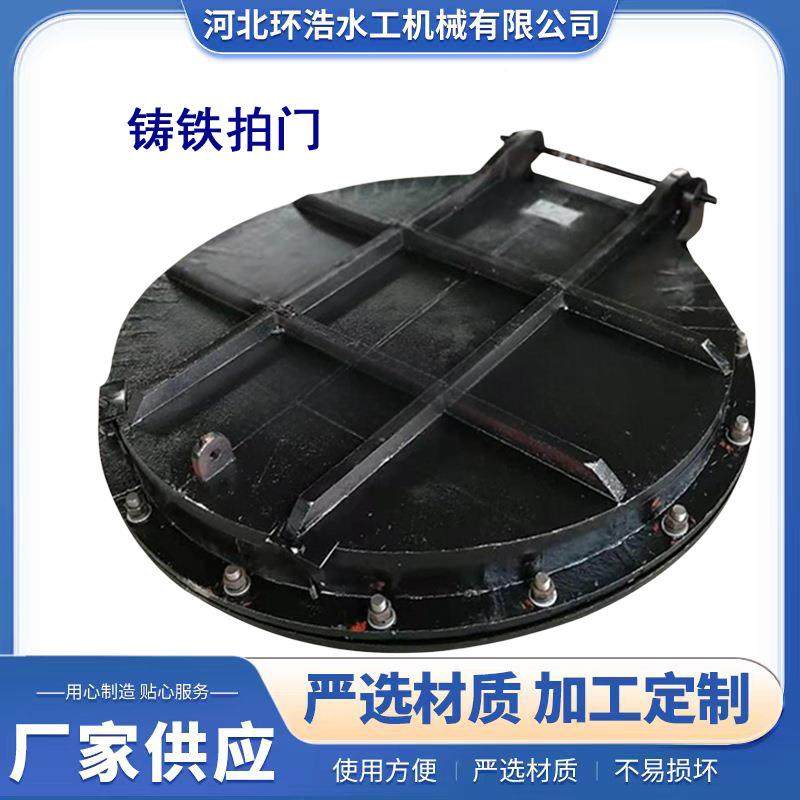 厂家货源铸铁拍门DN20浮箱式玻圆0璃钢耐防倒918灌钢制高压用