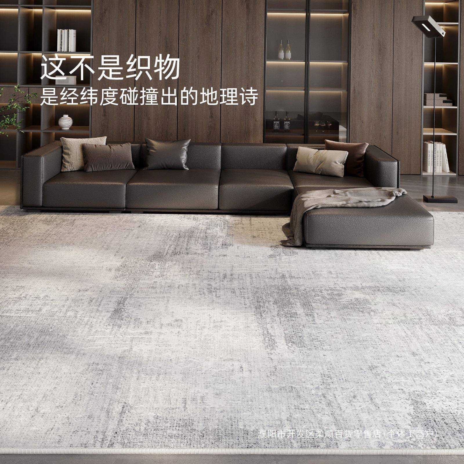 毯厅2025新款免打理灰色卧室地垫防水防污ltao8959轻奢地沙家客用