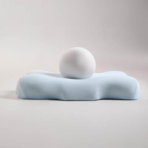 新款零压蝶XINKE力基枕云生物基异型记忆蝴枕成人枕头型枕朵芯跨