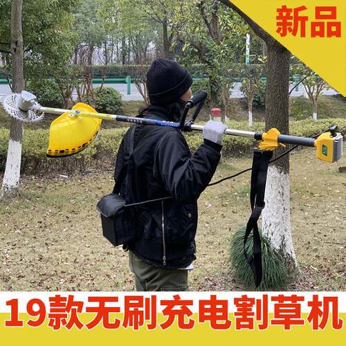 刷斯特新款小型打草机无割草割灌STK-H255机背负充电式功能克修多