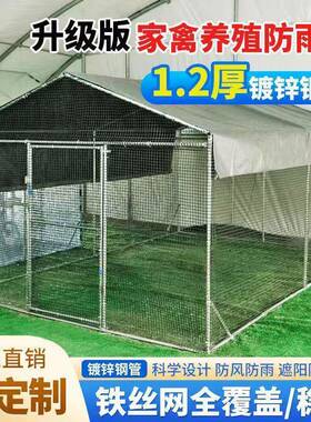鸡鸡笼棚特WNZ大号家禽殖养兔笼防雨孔雀号搭建鸽笼特大大型家用