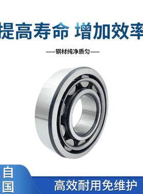 FPAG轴承N276U307E.PTV2NU307E.TPVP2.C3轴承