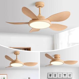 202风5新款简约吸顶吊扇风灯卧室客厅4带电扇谱灯家用全光餐厅扇