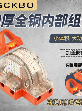 透明双投闸刀开关2P-63A双路电源转换开关单相家用220V双向刀闸