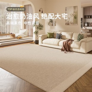 奶油中古客厅地毯高级感茶几沙发地垫卧室床边防水抗污可擦洗毯垫