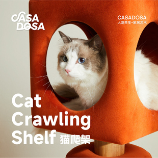 水瓶猫架猫爬架猫窝猫树一体猫咪猫爬架小户型立式 猫架不占地网红
