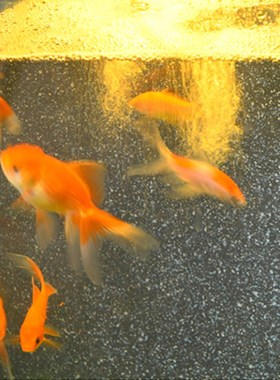 水调江南欧式鱼缸水景客厅酒店布景装饰品喷泉流水造景落地摆件