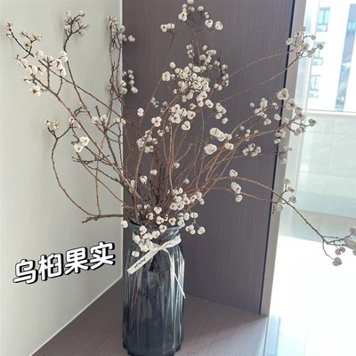天然树枝树干装饰侘寂风干花高级感真花民宿插花摆件乌桕果小白果
