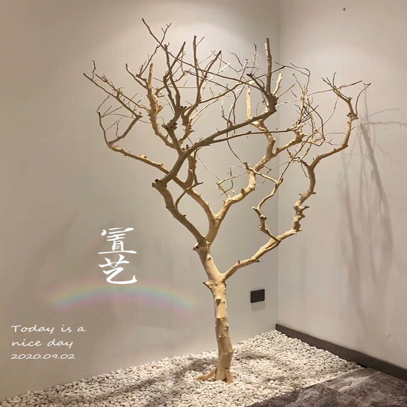 原木树枝干树枝 去皮树枝 室内造型树枝枯树枝装饰 树枝造景 橱窗