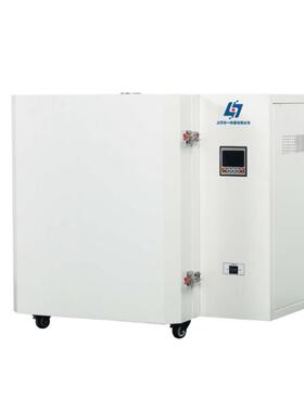 上海右一600度高温鼓风干燥箱DHG-9079AH容量70L 微电脑控温系统