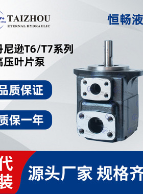 丹尼逊Denison T6C T6D T6E 液压单联泵双泵泵芯柱销式高压叶片泵
