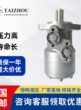 全系列替代White怀特大扭矩效率高起扬机摆线液压马达OMR 160/200