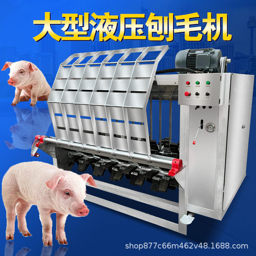 大型全自动整猪刨毛机生猪脱毛打毛设备活猪刮毛去毛杀猪屠宰设备
