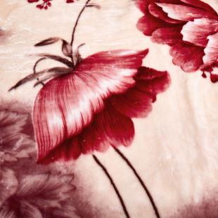 冬季新款20241127拉用舍尔毛毯亲肤舒适婚庆盖学生家可绒毯加厚保