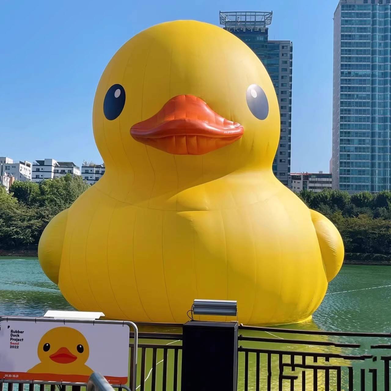 充气水上大黄鸭大白鹅巨型水陆漂浮物景区商场装饰美陈充卡通气模
