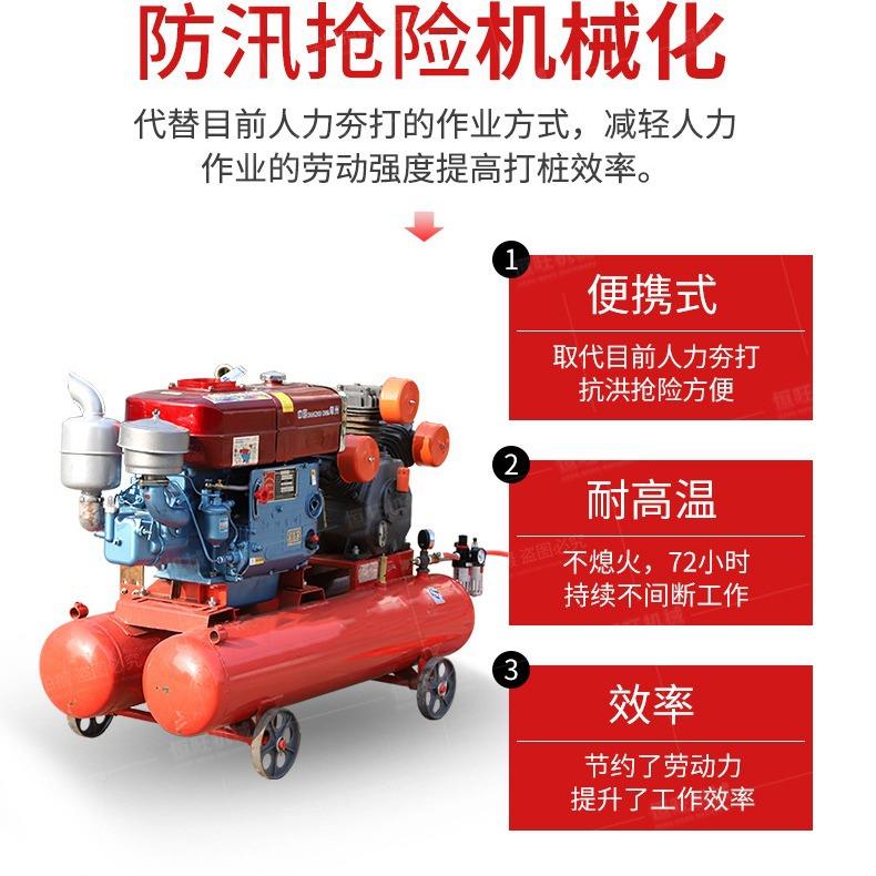 便携式防汛打桩机小手持式柴植桩打钢管木机油桩河道防无品牌/汛