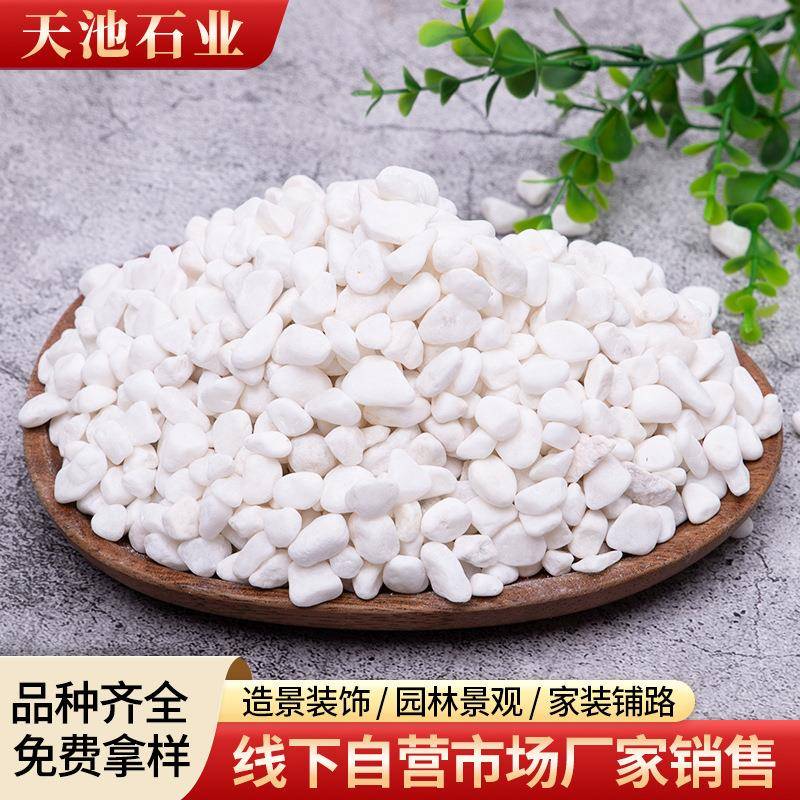 雪缸花白小石子水磨石园铺454路水洗石林庭院鱼鹅造景白色卵石