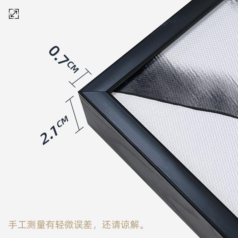 亚抽马逊跨境轻薄打印三联画多YAY-2409彩象帆布有框装饰画Fmedra