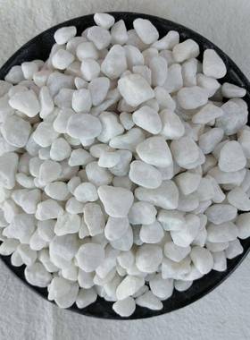 天然鹅卵石白色石头铺水磨210石石汉白玉小园林景观枯山路水白砾