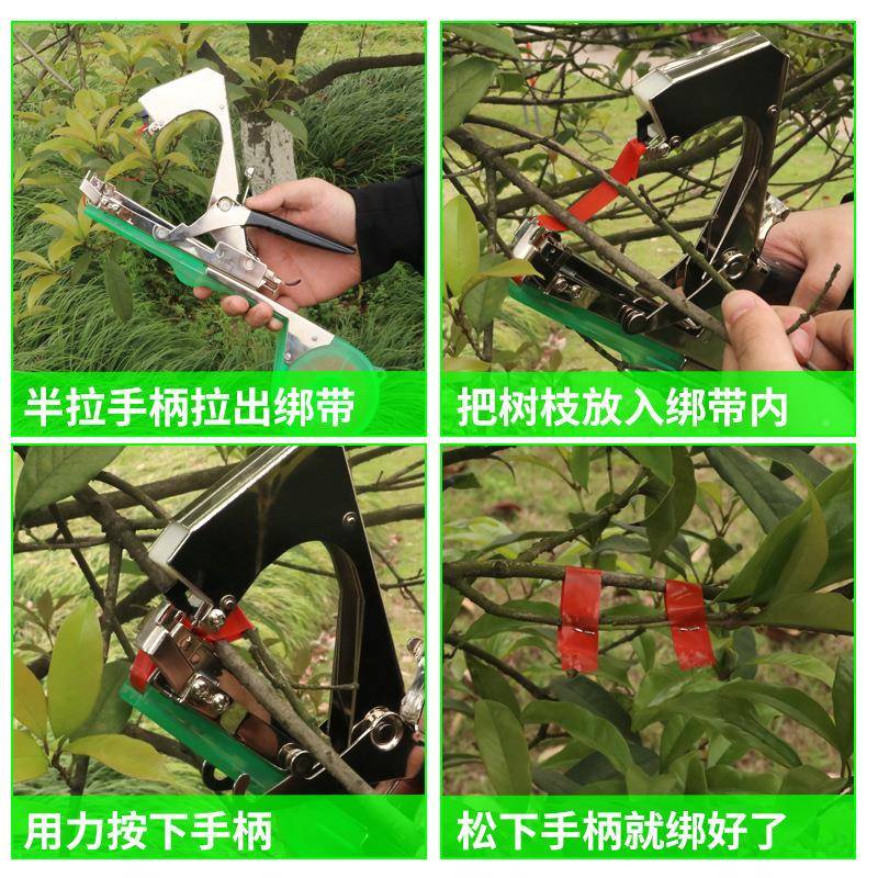 新款园林工萄具绑枝机番茄绑绑枝机葡绑工9104枝器蔓器花园绑扎具