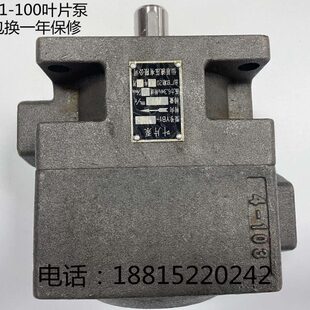 全新M7130H平面磨床油泵 平面磨床叶片泵YB1-100杭机桂北川磨配件