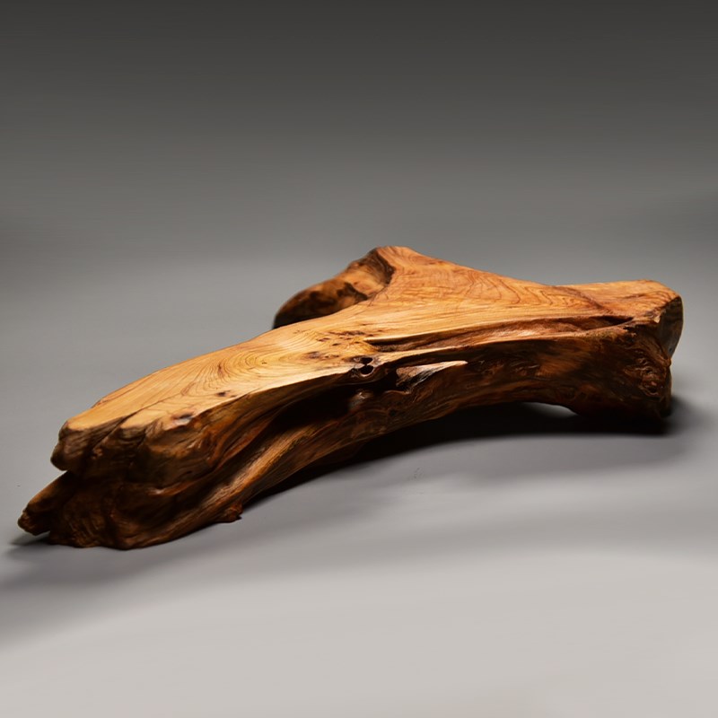 风化枯木摆件装饰品黄柏根雕根艺盆景底座功夫茶道干泡茶台茶空间