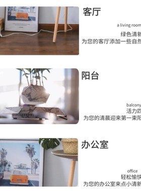 反重力自动旋转磁悬浮花盆情绪稳定办公桌家居摆件花草植物装饰品