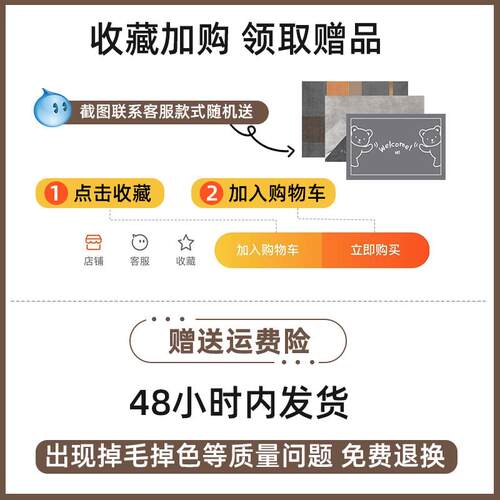 入户门垫进门地垫门口高级pvyc可裁剪家用免洗耐脏可擦洗玄关地毯