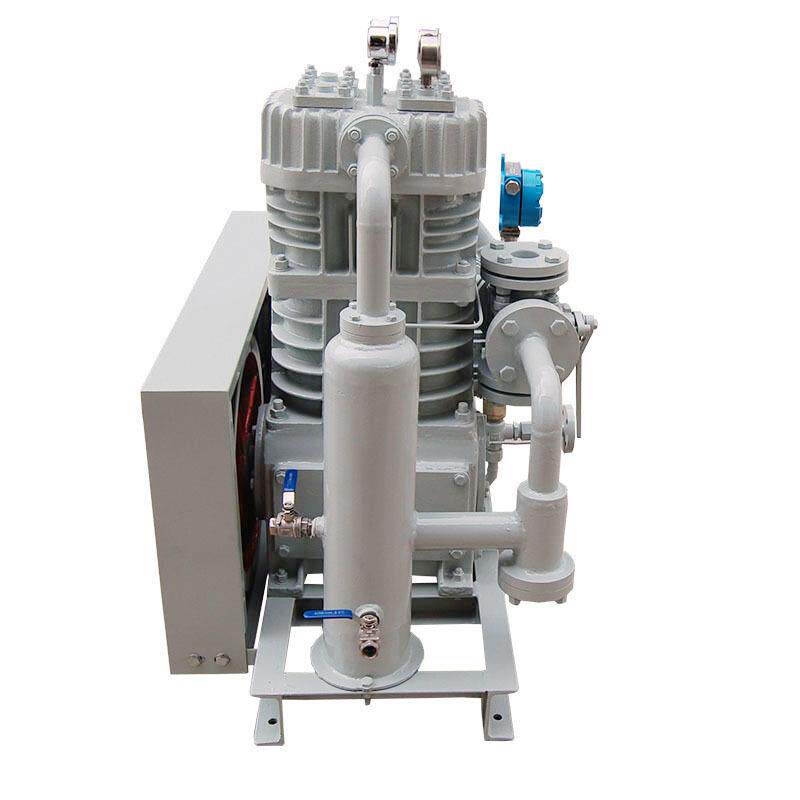氯甲烷压缩机工作原理增压泵提纯高效安稳特殊气自动化静音