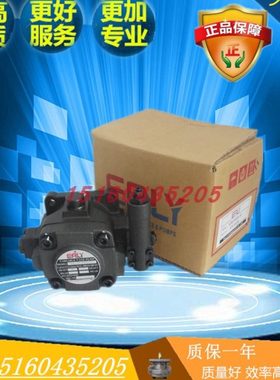 EALY弋力VDC-1A-F20A 25B 30C/40D-20变量叶片泵 VDC-1A-F30D