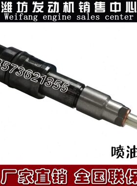 潍柴WP12船用柴油发动机喷油器612630090022喷油嘴 WP13油咀 油头