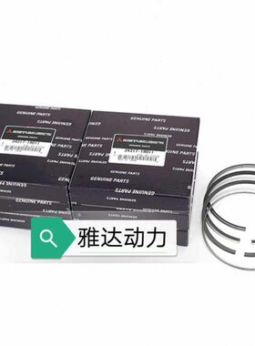 卡特312B/320/320B/320C活塞环 34317-19011 S6K不带中冷活塞环