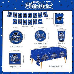 毕业典礼次性纸盘纸一杯纸巾桌布 主题拉派对2套装 NCZ205款 毕业季