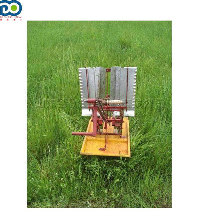 农田类小型秧KBW手摇秧机人力插水稻田苗间补苗机两苗行手扶式插