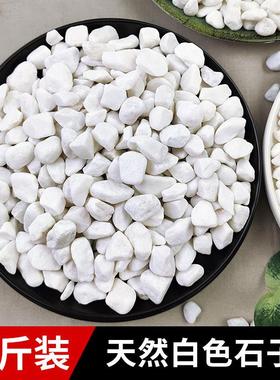 白石子景观石头大小鹅卵石庭院铺路铺地阳台装饰花园白色石子造景