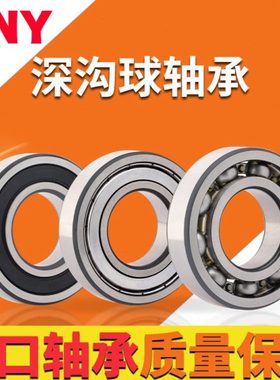 轴承 6020 6021 6022 6024 6026 6028 6030 ZZ 2RS RZ