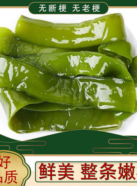 盐渍裙带菜梗5斤新鲜海白菜批发商用半干货非即食海藻海带海芹菜