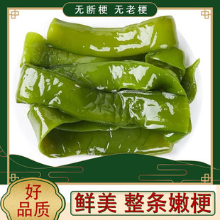 盐渍裙带菜梗5斤新鲜海白菜批发商用半干货非即食海藻海带海芹菜