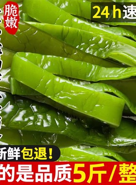海白菜新鲜盐渍裙带菜嫩梗段整箱商用大连特产嫩梗凉拌火锅非干货