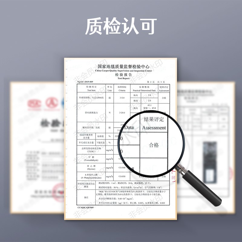 灰色地毯房间客厅耐脏卧室全铺商用办公室大面积满铺隔音整铺地垫