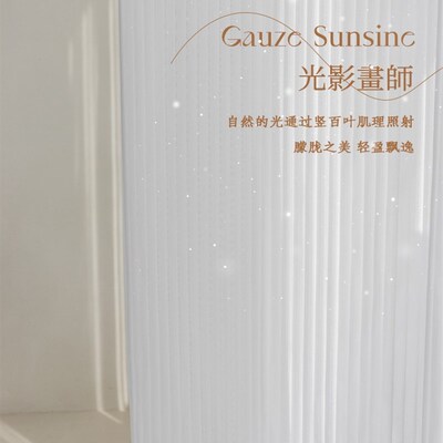 网红竖百叶纱帘白纱窗帘雪纺纱卧室E飘窗透光不透人白色窗纱梦幻