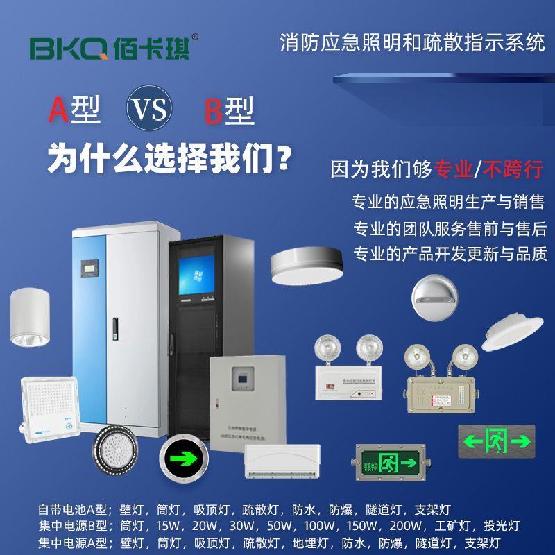 应急照明集中电源箱配消