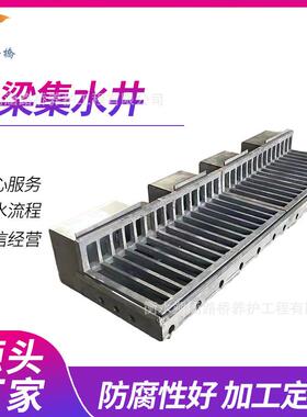 集水隧路面落水斗铸铁预埋井集水槽市政道园ESV林排水政格栅市工