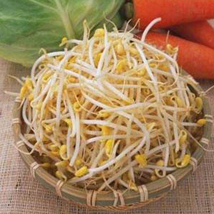 豆芽机商用全自动 家用全自动发豆芽神器 大型日产800斤豆芽机