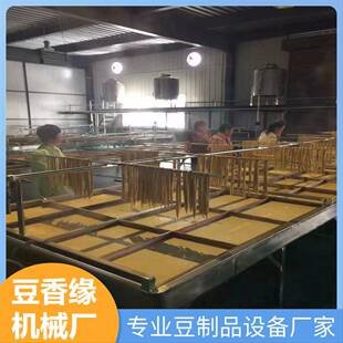 节能腐竹机报价 腐竹油皮设备完全实行自动化运行 易操作高效