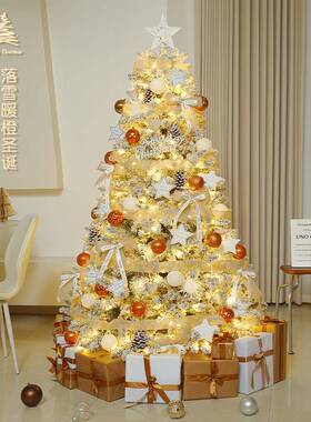 圣诞树装376饰s品发光加in风家用圣诞节摆件套小餐大型di密y场景