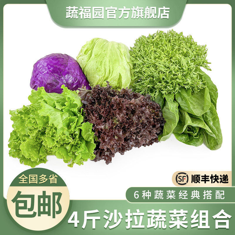 新鲜蔬菜沙拉组合4斤 西餐色拉其它
